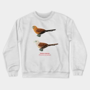 Raffles's Malkoha | Rhinortha chlorophaea ⚥ Crewneck Sweatshirt